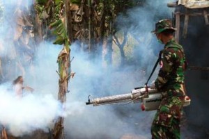 Satgas Yonif 411 Kostrad Lakukan Fogging